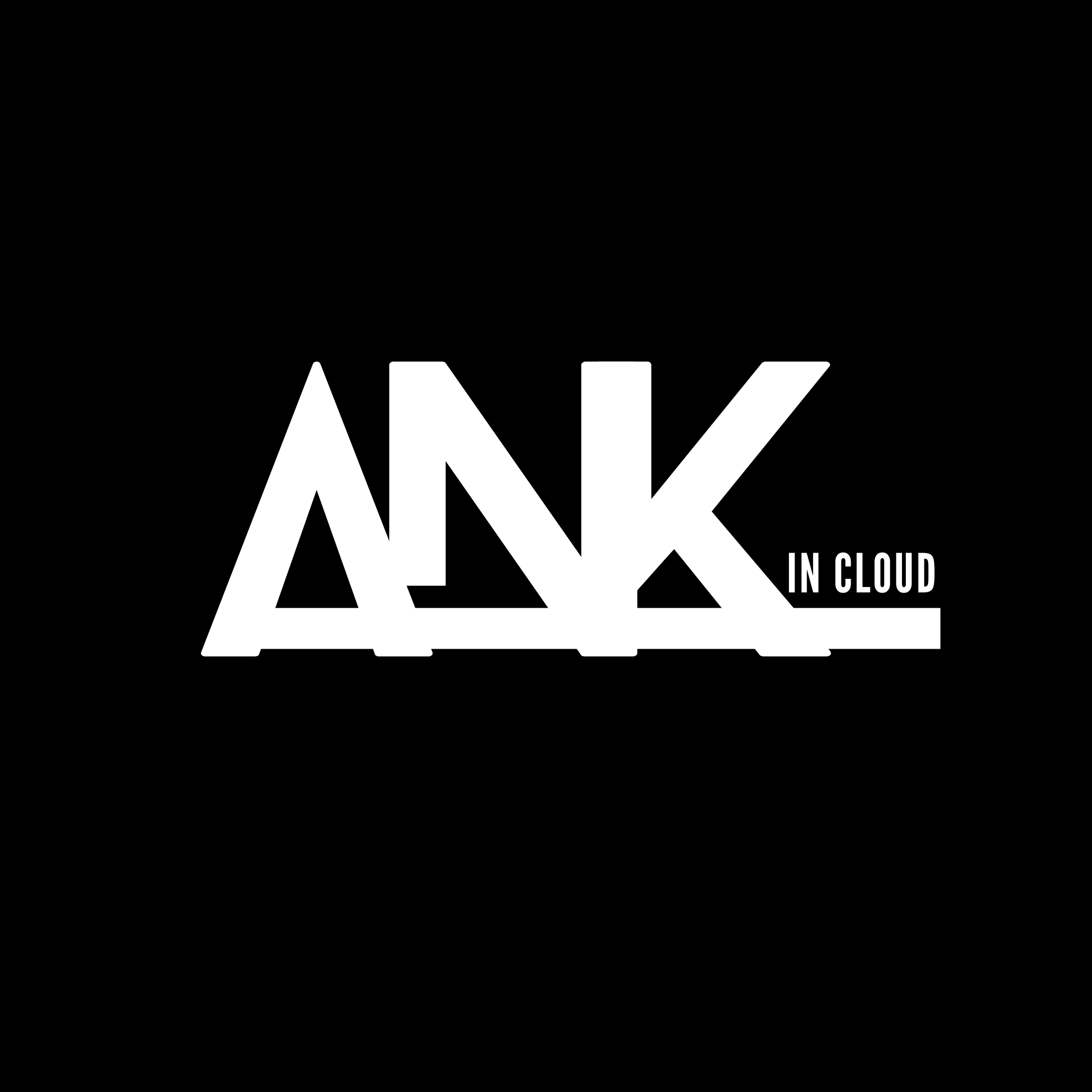Ankin Cloud Corp.
